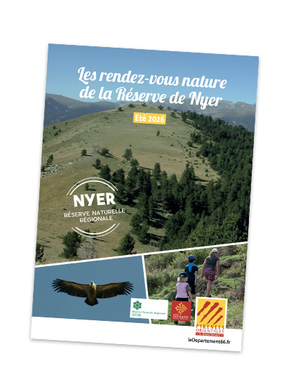 nyer ete2026