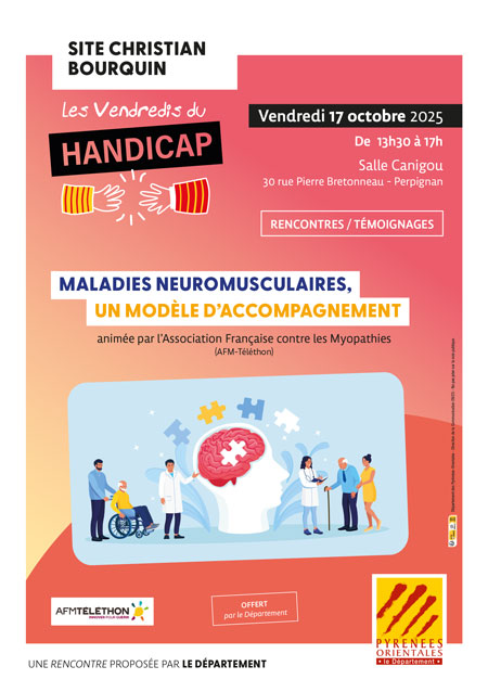 Aff VDH MALADIES FLYER