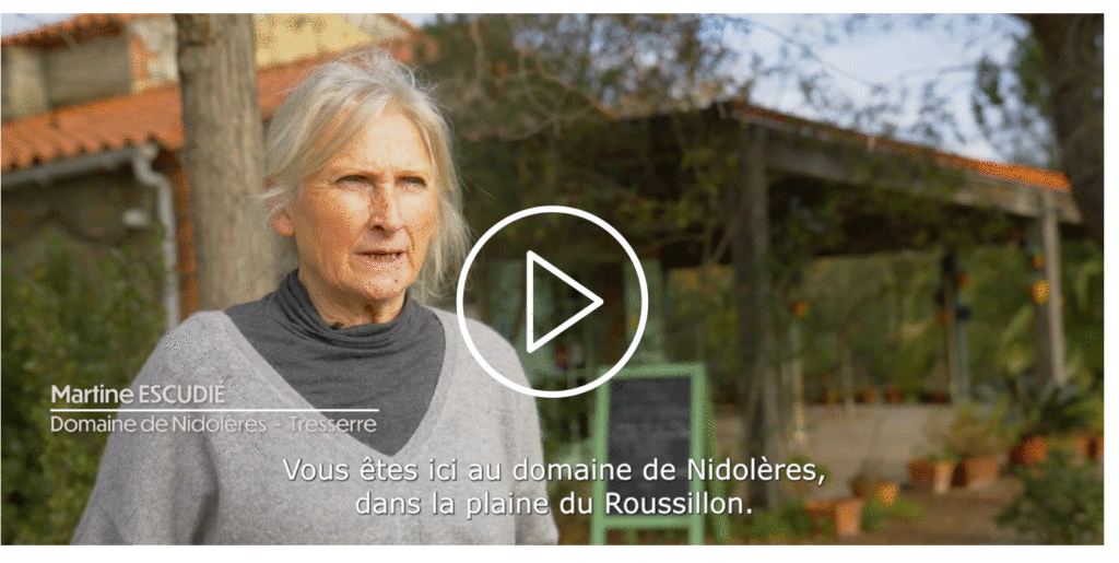 campagne video2026