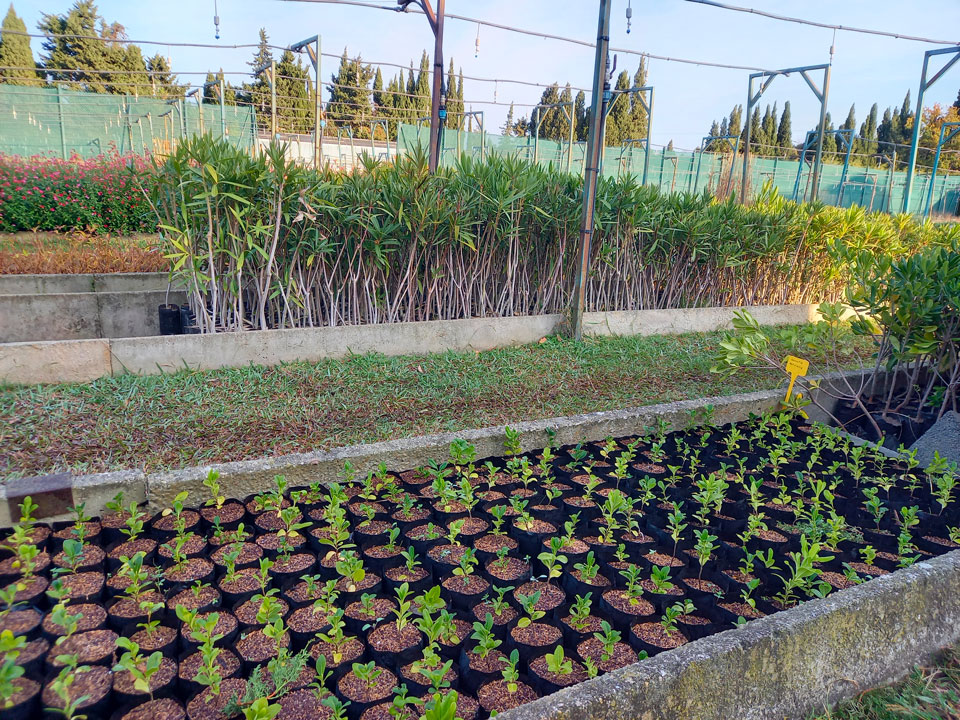 20251210_095002 20251210 095002