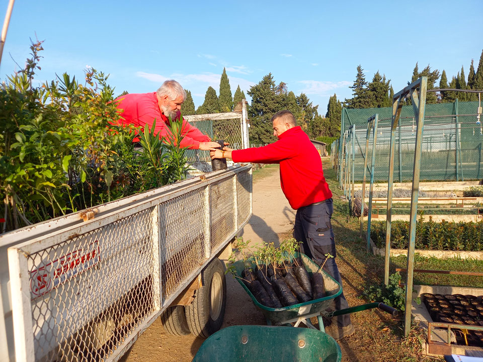 A20251210_103229 A20251210 103229