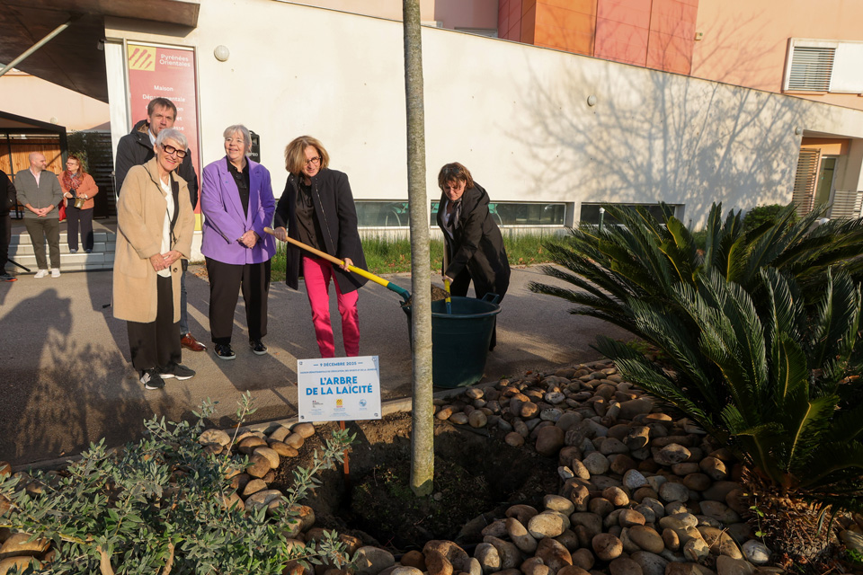 ArbreLaicite MaisonSports  12 2025  MJZ 2256