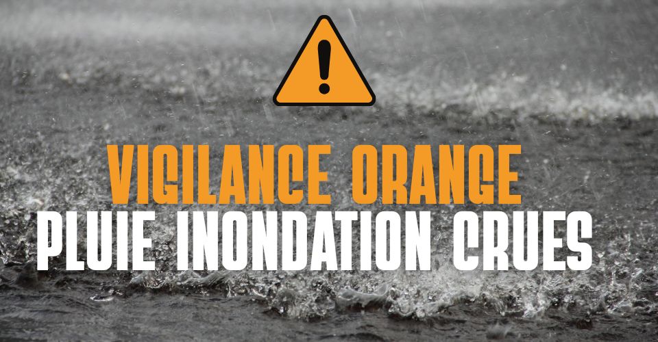 vign (960 x 500 px) vign (960 x 500 px)