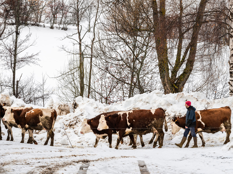 HL_JCMILHET_AGRICULTEURS_ELEVEUR_ARNAUD_CARCASSONNE_EYNE_017 HL JCMILHET AGRICULTEURS ELEVEUR ARNAUD CARCASSONNE EYNE 017