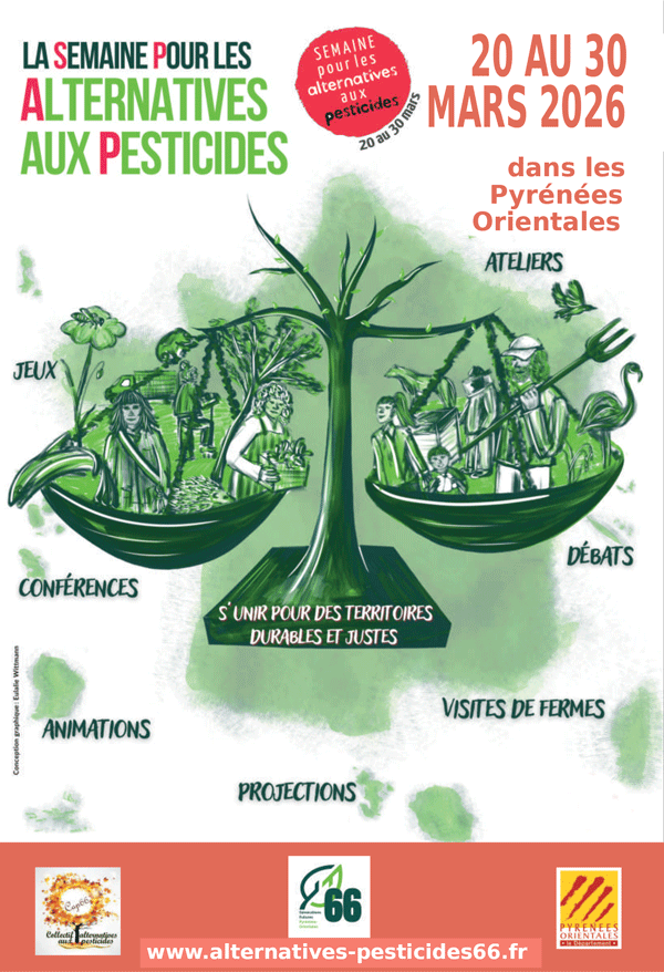 Plaquette_2026--SAP-1 Plaquette 2026 SAP 1