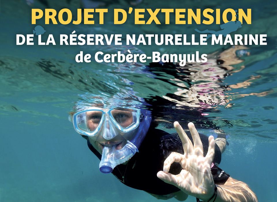 visuel extension enquete