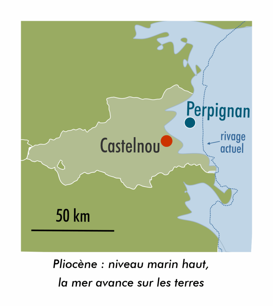 est pliocene est pliocene