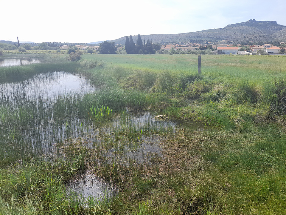 Mare temporaire Opoul