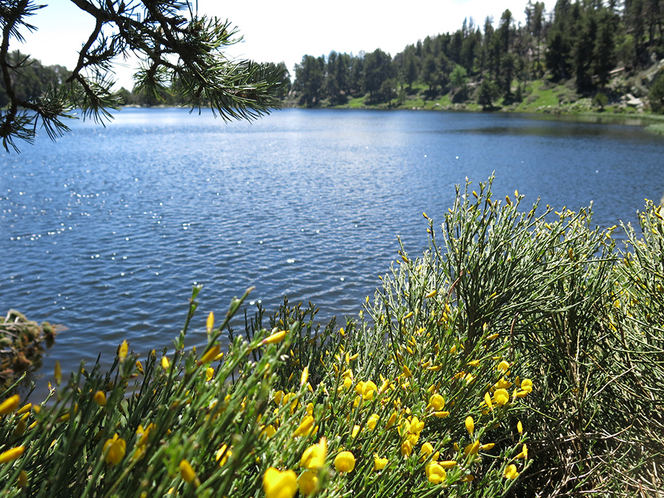 Le lac d'Aude