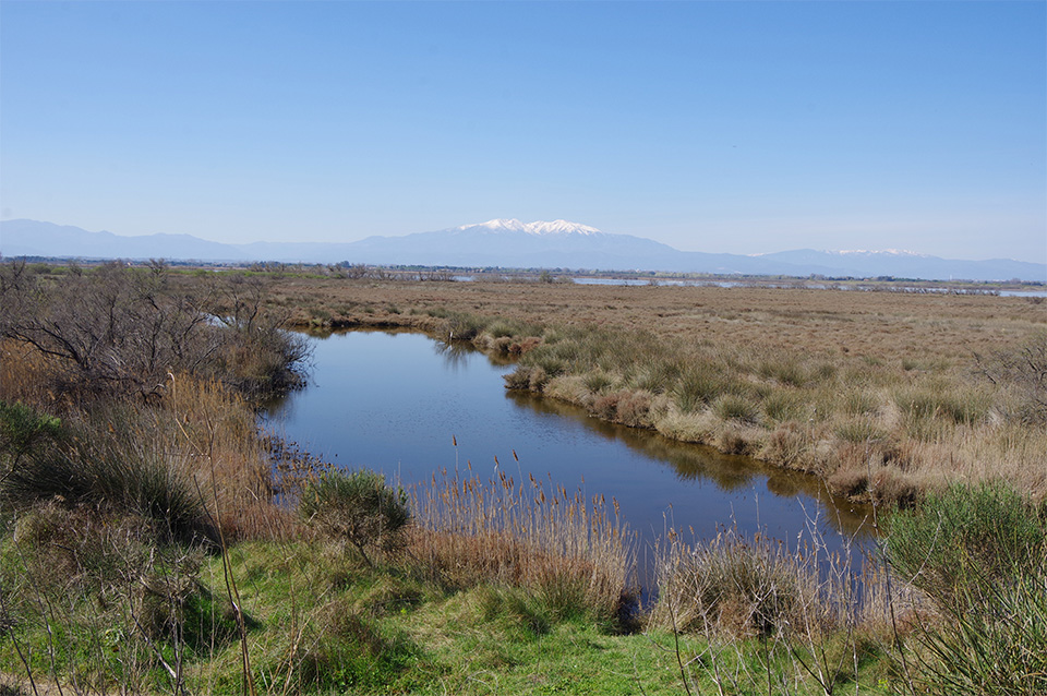 La lagune de Canet-en-Roussillon