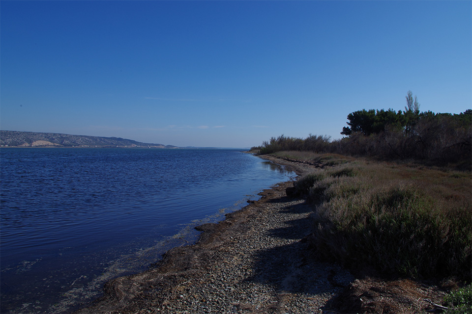 La lagune de Salses Leucate