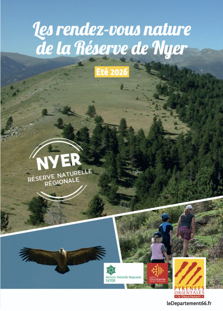 anim-nyer anim nyer